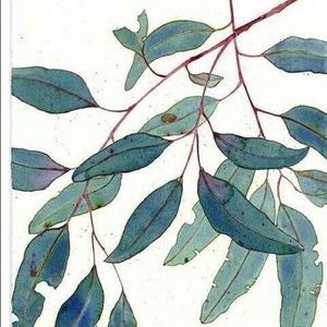 Meet your Posher, Julianna